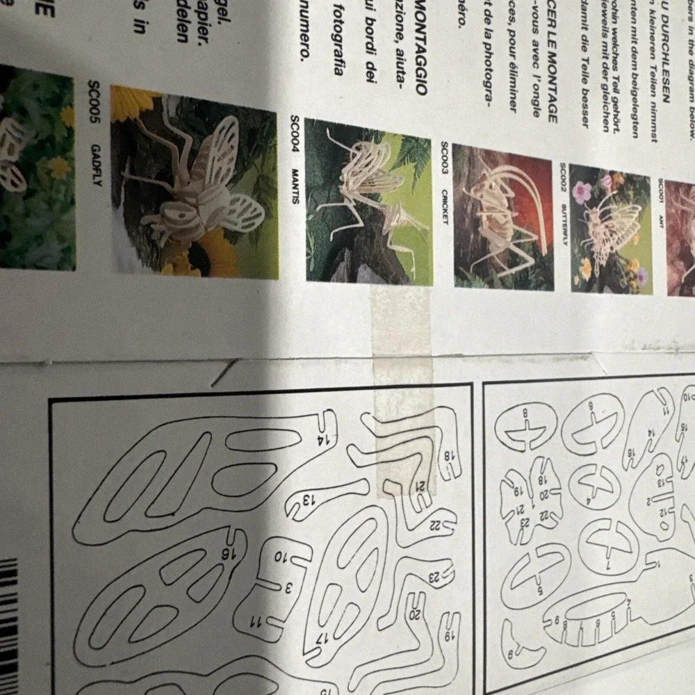 3 Wood‎ Model Kit Puzzles Insects - IQ Products - NEW